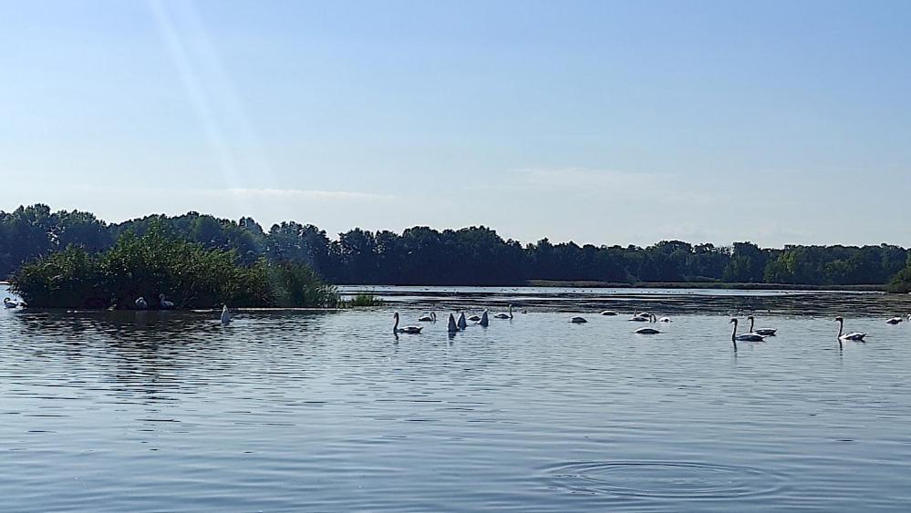 Ferienwohnung Am Olbasee Malschwitz Extérieur photo